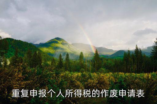 申報表作廢申請單 要帶什么，國稅報表作廢帶什么