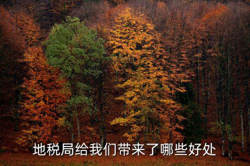 地稅有什么作用，地稅局給我們帶來了哪些好處