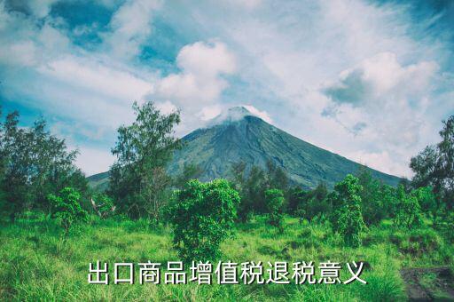 增值稅出口退稅 什么性質(zhì)，什么是出口退稅出口退稅是什么