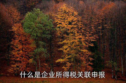 稅務(wù)關(guān)聯(lián)表是什么意思，所得稅中關(guān)聯(lián)關(guān)系是什么意思