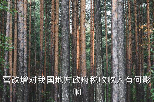 營(yíng)改增對(duì)我國(guó)地方政府稅收收入有何影響