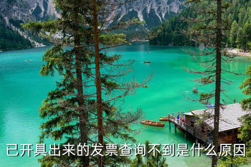 已開(kāi)具出來(lái)的發(fā)票查詢不到是什么原因