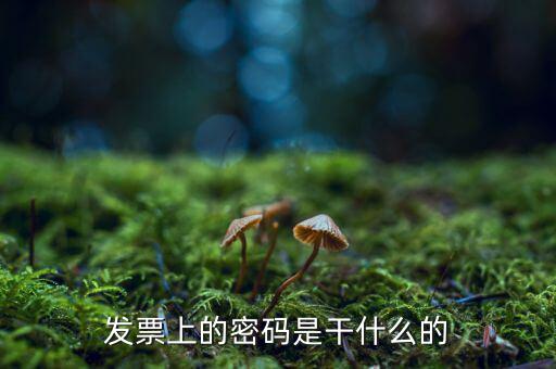 湖南汽車發(fā)票密碼是什么意思，發(fā)票上的密碼是做什么用的啊