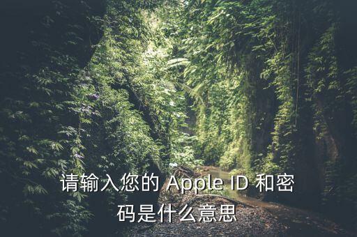 查詢個稅 密碼是輸入什么，請輸入您的 Apple ID 和密碼是什么意思
