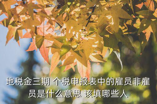 雇員納稅人是什么意思，地稅金三期 個(gè)稅申報(bào)表中的雇員非雇員是什么意思 該填哪些人