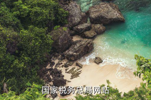 稅務(wù)局適用什么版本的網(wǎng)站，登錄電子稅務(wù)局用什么瀏覽器