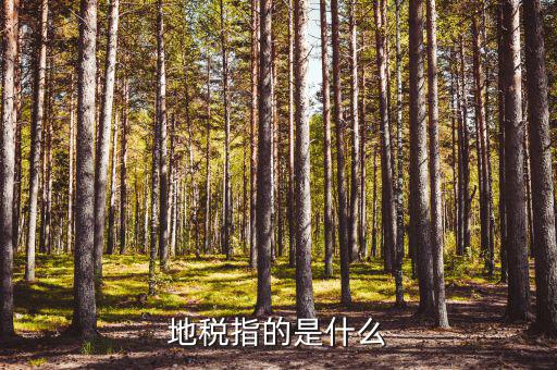 地稅延伸服務(wù)都指什么，地稅三優(yōu)兩促進(jìn)是什么意思