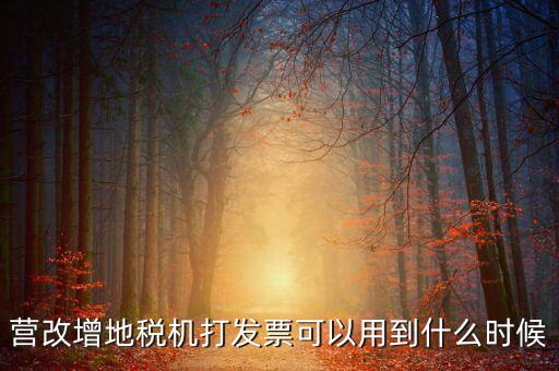 地稅發(fā)票能用到什么時(shí)候，納稅人已領(lǐng)取地稅機(jī)關(guān)印制的發(fā)票可以使用到什么時(shí)候