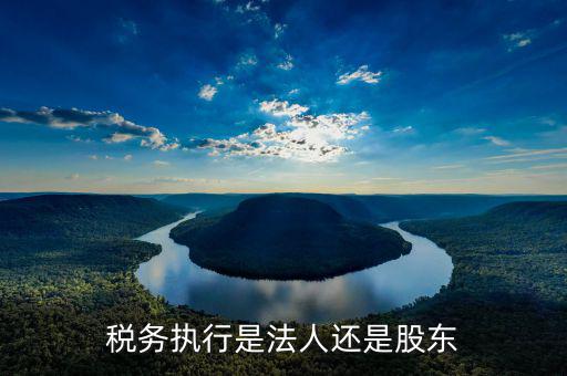 稅收政策執(zhí)行是干什么的，稅務(wù)執(zhí)行是法人還是股東