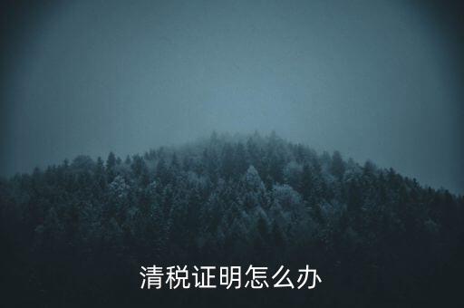 稅務(wù)無紙化辦公要什么材料，清稅證明怎么辦