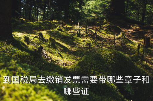 繳銷出口商品統(tǒng)一發(fā)票要蓋什么章，到國(guó)稅局去繳銷發(fā)票需要帶哪些章子和哪些證