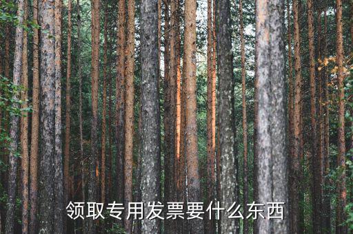 領(lǐng)購(gòu)專票需要帶什么，領(lǐng)購(gòu)增值稅專用發(fā)票需要帶哪些東西詳細(xì)點(diǎn)謝謝