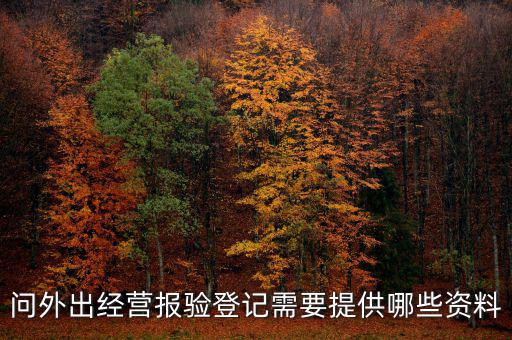 外管證報(bào)驗(yàn)都需要什么資料，辦外管證需要哪些資料