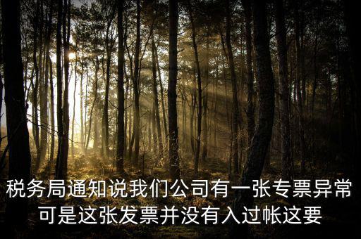 稅務(wù)局通知說我們公司有一張專票異?？墒沁@張發(fā)票并沒有入過帳這要