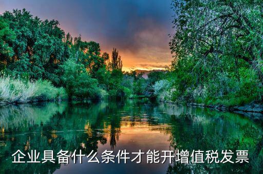 什么企業(yè)增值稅發(fā)票，企業(yè)具備什么條件才能開(kāi)增值稅發(fā)票