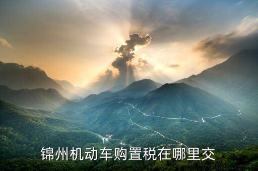 錦州機(jī)動車購置稅在哪里交