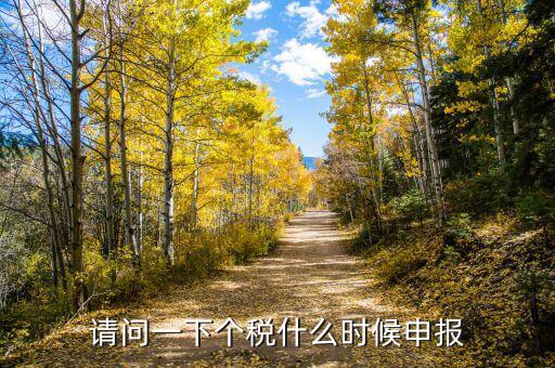 請(qǐng)問一下個(gè)稅什么時(shí)候申報(bào)