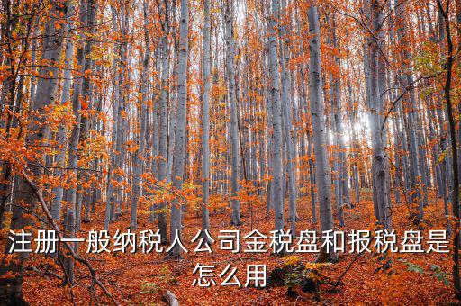 注冊一般納稅人公司金稅盤和報(bào)稅盤是怎么用