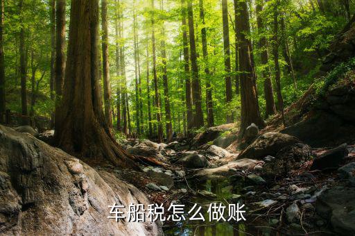 營改增后的汽車車船稅什么做帳，車船稅怎么做賬