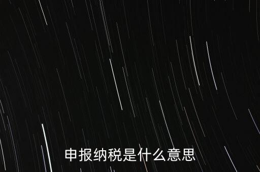 通用申報稅是什么，非稅收入通用申報表是什么稅