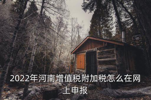 附加稅在什么網(wǎng)站申報(bào)，2022年河南增值稅附加稅怎么在網(wǎng)上申報(bào)
