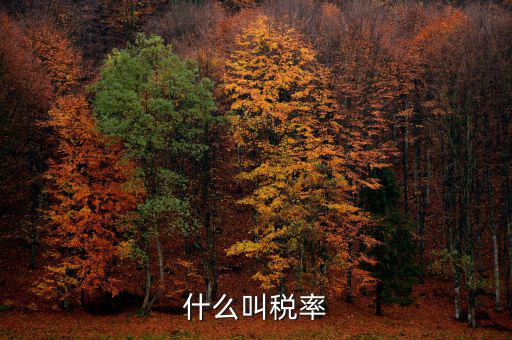 什么叫增值稅稅率，增值稅普通發(fā)票的稅率是什么意思
