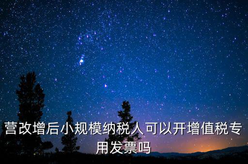 營改增后地稅能開什么票，營改增之后地稅局還可以開發(fā)票嗎