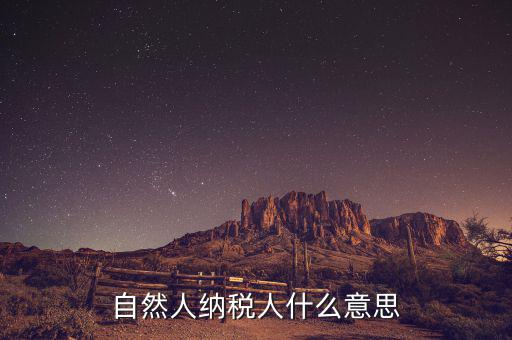 什么是自然人辦稅，自然人納稅人什么意思