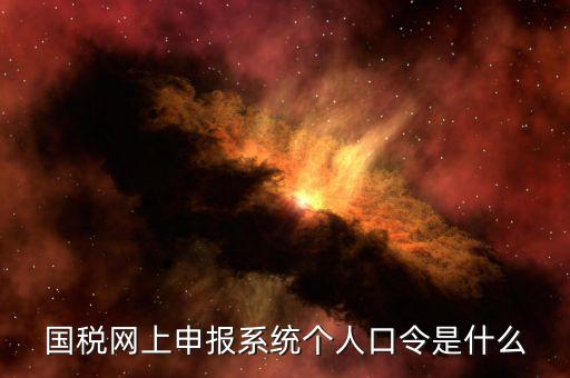 國(guó)稅證書(shū)口令是什么意思，網(wǎng)上申報(bào)國(guó)稅系統(tǒng)登陸的口令是什么