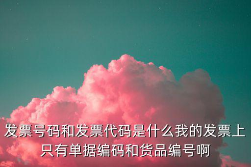 發(fā)票號指的是什么，發(fā)票號碼是指哪個號碼
