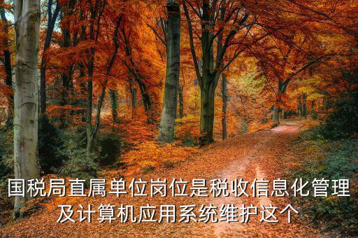 稅收信息化崗位做什么，信息化在稅務(wù)管理中有什么作用