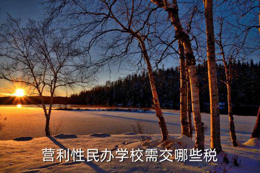 學(xué)校要交什么稅，營(yíng)利性民辦學(xué)校需交哪些稅