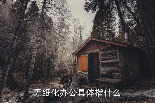 國稅無紙化辦公是什么意思，無紙化辦公具體指什么