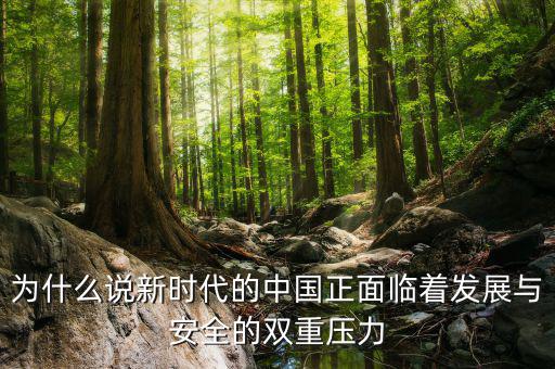 中國(guó)的雙重負(fù)擔(dān)是什么，為什么說新時(shí)代的中國(guó)正面臨著發(fā)展與安全的雙重壓力