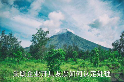 專票失聯(lián)會有什么后果，稅務(wù)局通知說我們公司有一張專票異?？墒沁@張發(fā)票并沒有入過帳這要