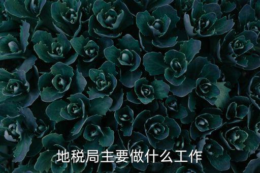 地稅局主要管什么的，地稅局工作的主要內(nèi)容