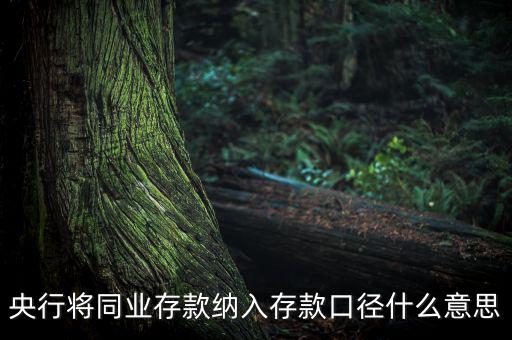 業(yè)務(wù)口徑是什么意思，銀行說(shuō)的十四行口徑是什么意思