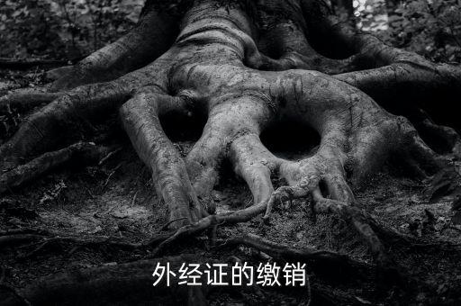 廈門繳銷外經(jīng)證國稅什么資料，廈門國稅需銷項(xiàng)合同是什么