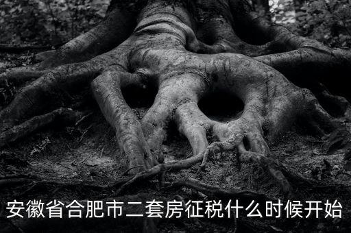 安徽省合肥市二套房征稅什么時(shí)候開(kāi)始