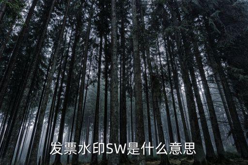 什么是發(fā)票水印，網(wǎng)購怎么辨別發(fā)票真徦