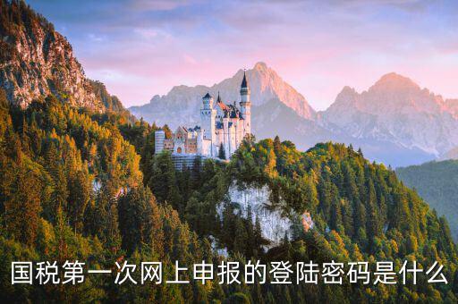 國(guó)稅網(wǎng)報(bào)口令是什么，國(guó)稅第一次網(wǎng)上申報(bào)的登陸密碼是什么