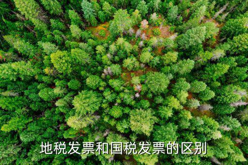 什么是國稅發(fā)票，國稅發(fā)票和增值稅專用發(fā)票的區(qū)別是什么