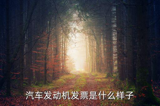 國稅出的機動車發(fā)票是什么樣的，汽車發(fā)動機發(fā)票是什么樣子