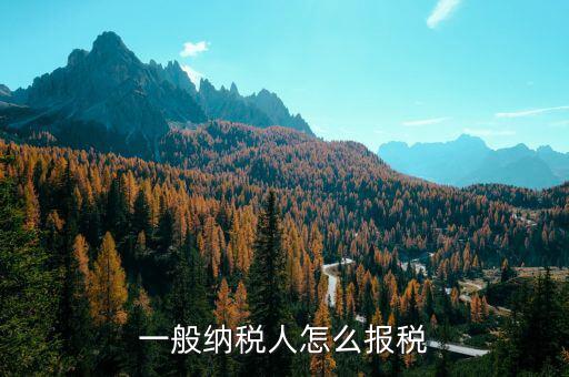 四川一般納稅人用什么申報(bào)國稅，一般納稅人報(bào)稅的詳細(xì)流程