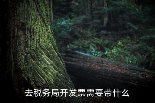 紹興市國(guó)稅購(gòu)增值稅發(fā)票需要帶什么，到稅務(wù)局開(kāi)增值稅專用發(fā)票帶什么