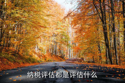 什么是稅務(wù)局企業(yè)評估，納稅評估都是評估什么