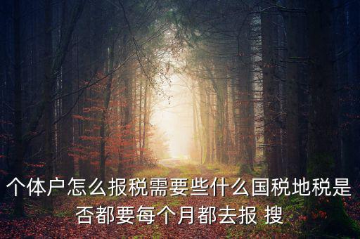 個(gè)體戶報(bào)稅都報(bào)什么，個(gè)體戶怎么報(bào)稅需要些什么國(guó)稅地稅是否都要每個(gè)月都去報(bào) 搜