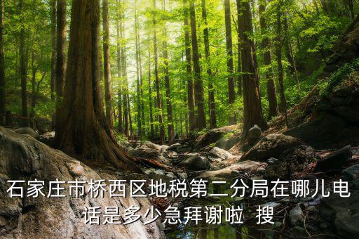 地稅二分局是做什么的，地稅科查局是做什么的