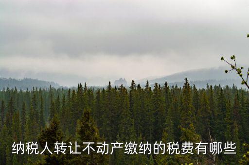 轉(zhuǎn)讓不動(dòng)產(chǎn)交什么稅，納稅人轉(zhuǎn)讓不動(dòng)產(chǎn)繳納的稅費(fèi)有哪些