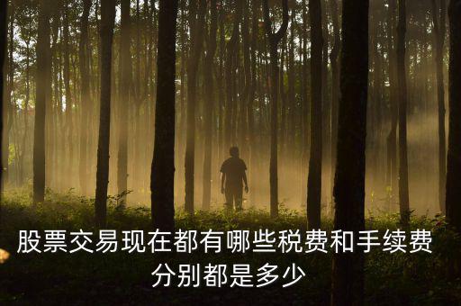 賣出股票要交什么稅，營改增后企業(yè)買賣股票應按照什么稅目繳納增值稅